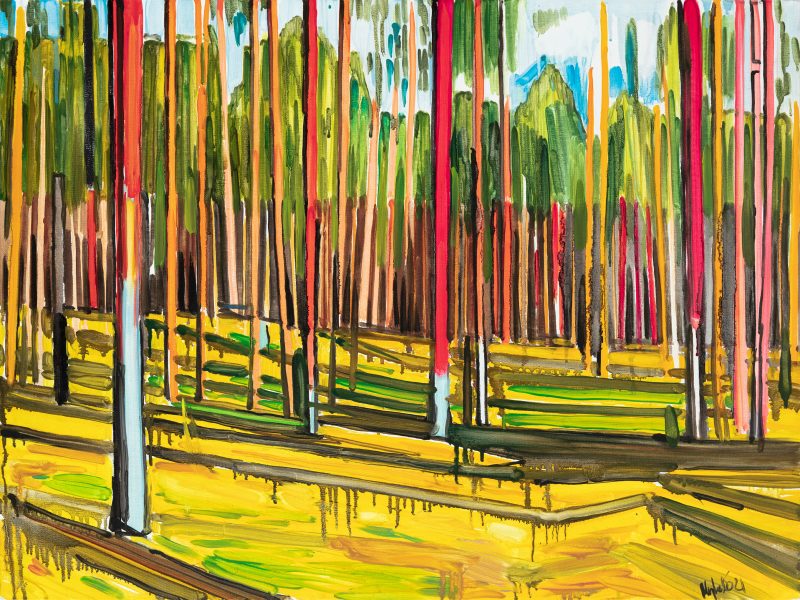 Pine forest, 2021. Oil, canvas. 60×80 cm